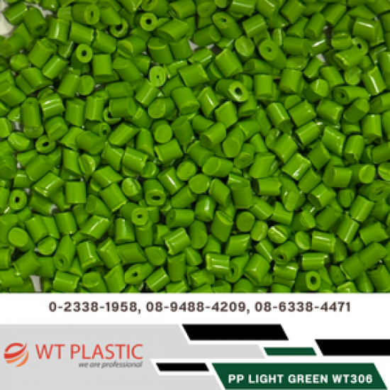PP LIGHT GREEN WT306